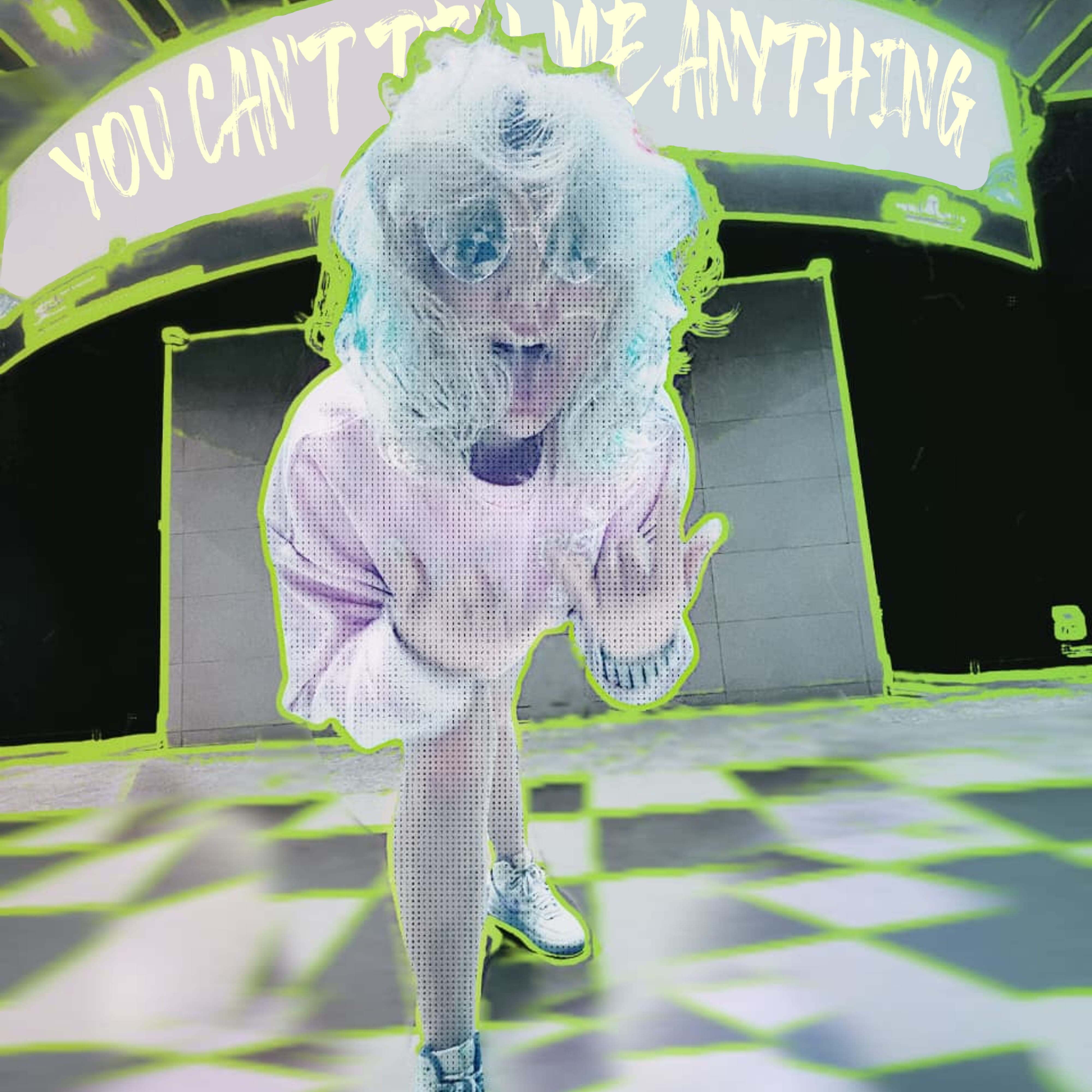 You Cant Tell Me Anything Cover